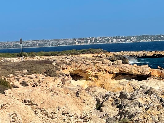 Sie wollen den Platz im Laufe des Nachmittags verlassen.