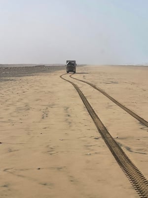 teilweise auch etwas tiefer -> je näher am Wasser desto fester ist der Boden
