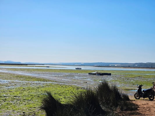 sie führt im Moment relativ wenig Wasser; bei Flut ist es ca. 50 cm höher ...