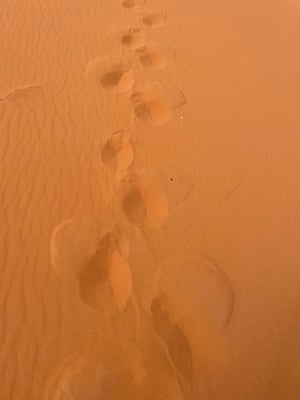 "deine Spuren im Sand ..."