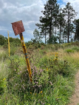 Wanderung in die Hügel der Umgebung