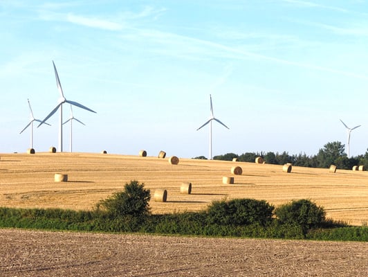 Erntezeit in Grömitz und Umgebung
