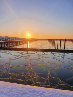 Grömitzer Yachthafen im Winter