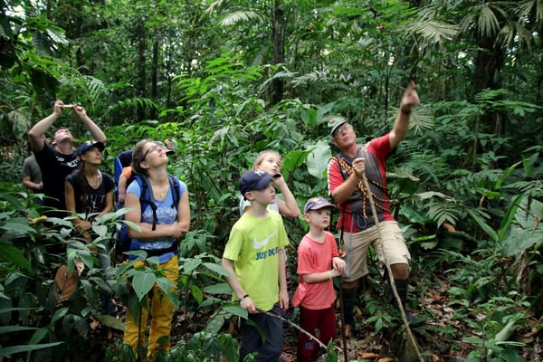 Führung durch den Dschungel mit Roberto