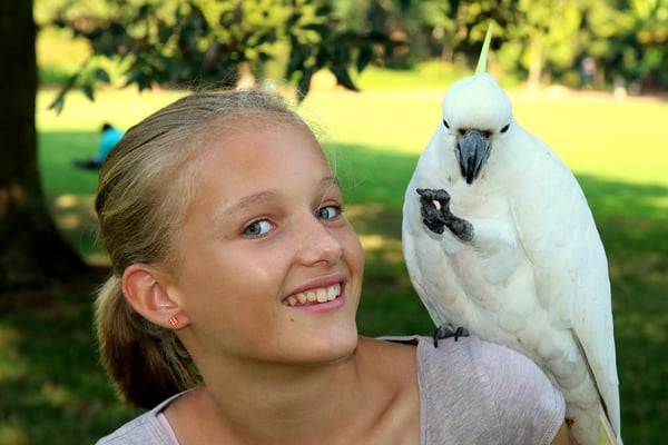 Adina mit Papagei. 10 Sekunden später hatte Adina nur noch einen Ohrring, den anderen hatte der Papagei gekonnt gepackt und sich damit verabschiedet.
