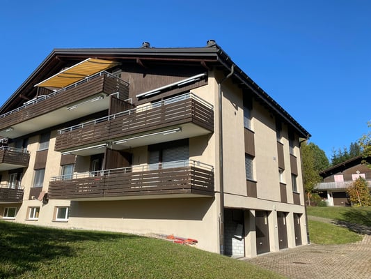 Ferienhaus (Wohnung im EG (Hochparterre)