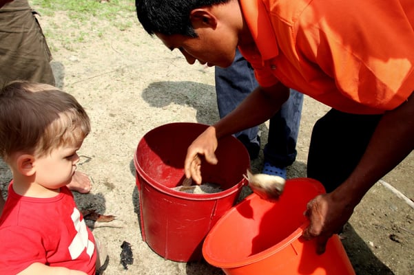 Timeo betrachtet die von den Indios gefangenen Fische