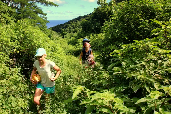 Wanderung auf einen "Berg" in Rarotonga. Leider verlor sich der Weg im Dickicht nach etwa der Hälfte der Strecke.