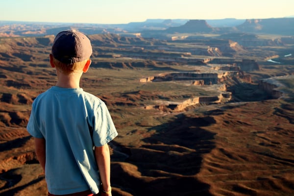 Auch Siro ist fasziniert