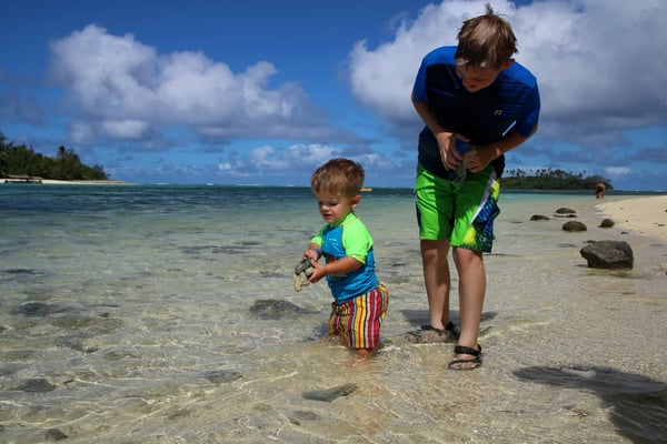 Was man für ein Glace nicht alles macht? Zum Beispiel eklige Seegurken aufheben :-)