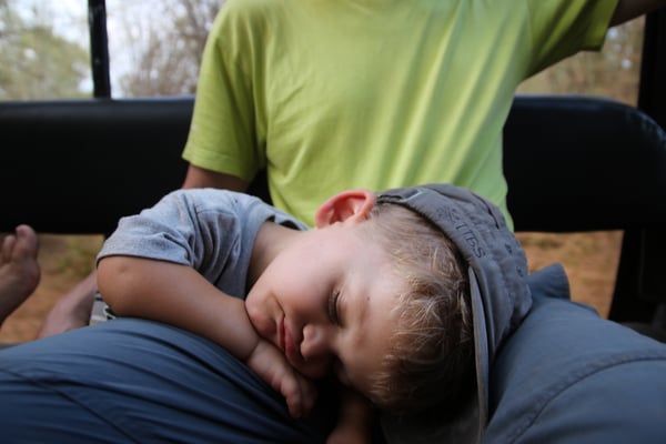 Aber Safari macht mit der Zeit auch hundemüde :-)