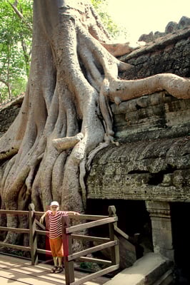 Allmähliche Rückeroberung der Natur