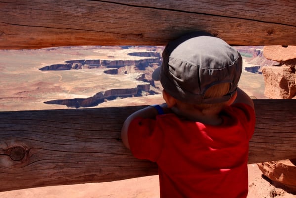 Klein und Gross... Timeo blickt in den Canyon des Green Rivers im Canyonlands Nationalpark