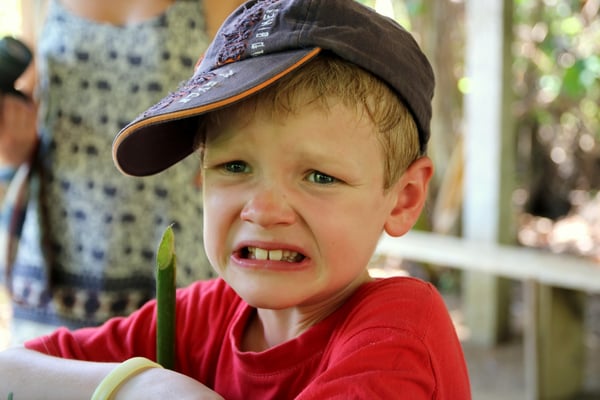 Siro nach dem Probieren von 100% Kakao (echt bitter...)