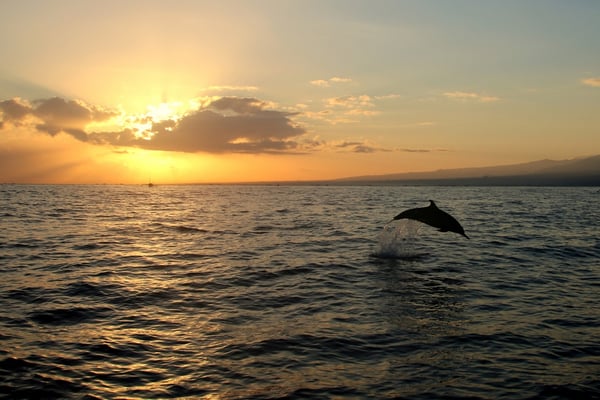 Das frühe Aufstehen hat sich gelohnt... nur schon für dieses Bild.
