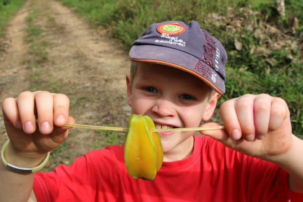 Siro mit einer Sternfrucht (sehr fein auf einer Wähe)
