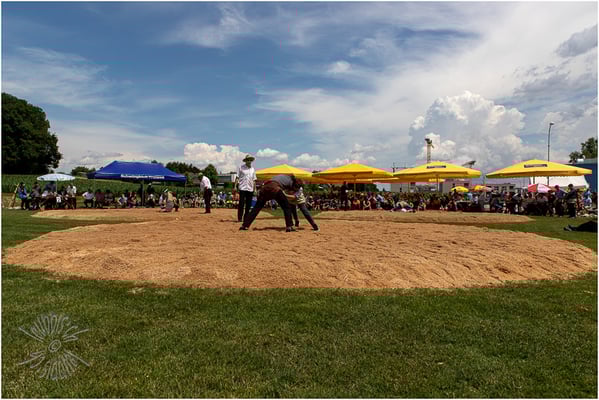 Munimatt-Schwinget 7. Juli 2019