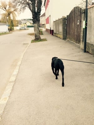 Aber jetzt schnurstraks zum Ziel