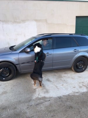 Eindeutiges Anzeigen von Freddie