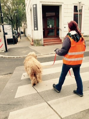 Nicht aus der Ruhe zu bringen