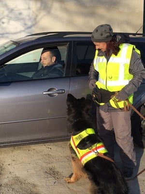 Aber dann doch 200 Meter weiter im Fahrzeug gefunden