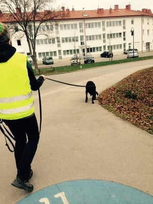 Motiviert auf den Weg