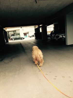 Die Spur rollt von der Straße in eine abschüssige Garage