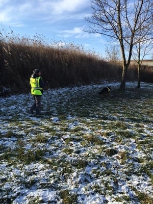 Naomi - über die schneegefrorene Wiese