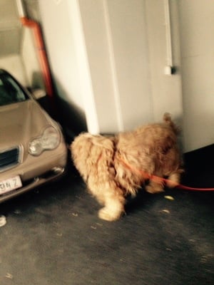 Die Garage wird genauestens inspiziert