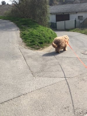 Wenn ich Xenia wär, würd ich jetzt runter gehen. Gesagt - Getan