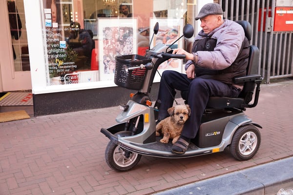 ' a dog is a man's best friend'