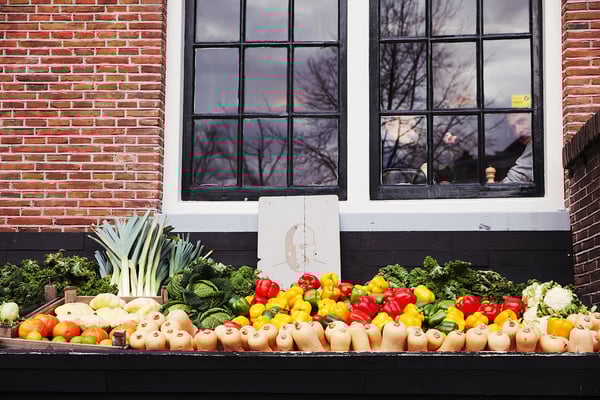 'Vegetable festival'