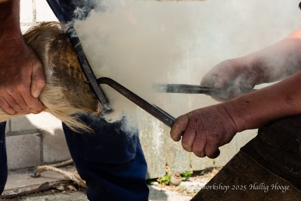 Hallig Hooge - Hufschmied