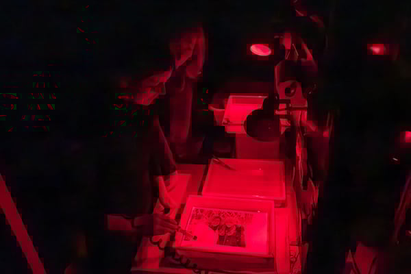 Entwicklung des Fotopapiers in der Dunkelkammer unter Rotlicht