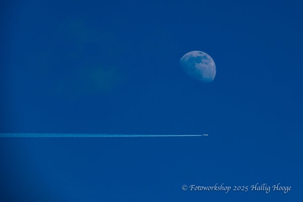 Hallig Hooge, Mond, Flugzeug