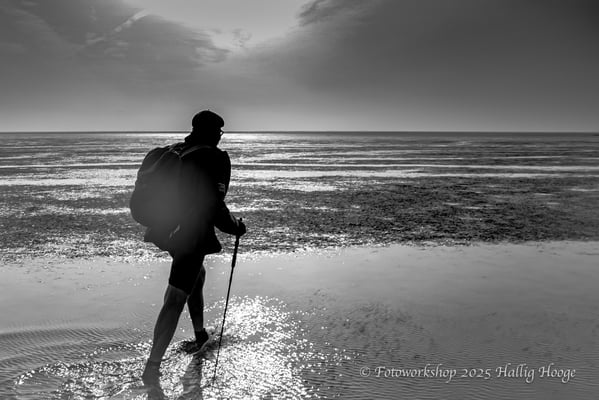 Hallig Hooge, Wattwanderung