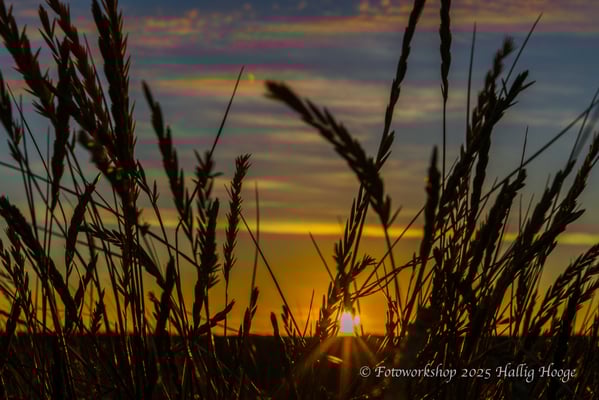 Hallig Hooge, Sonnenuntergang