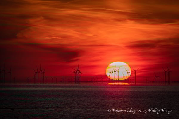 Hallig Hooge, Sonnenaufgang