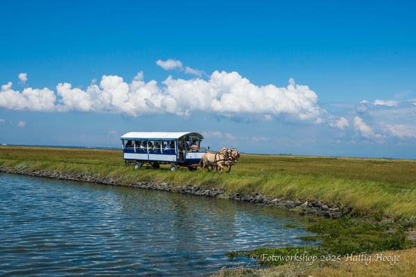 Hallig Hooge, Kutsche