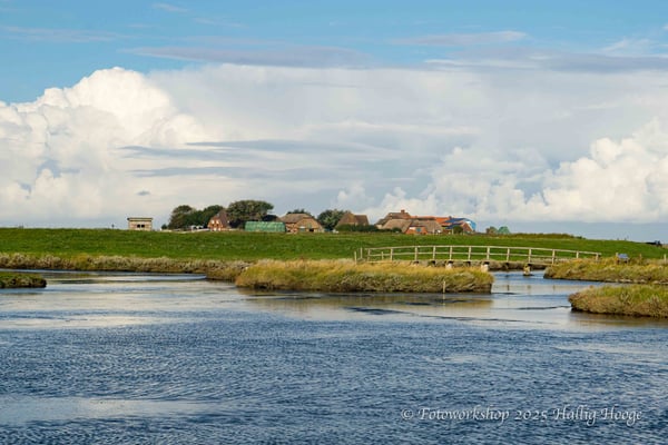 Hallig Hooge, Wattwanderung