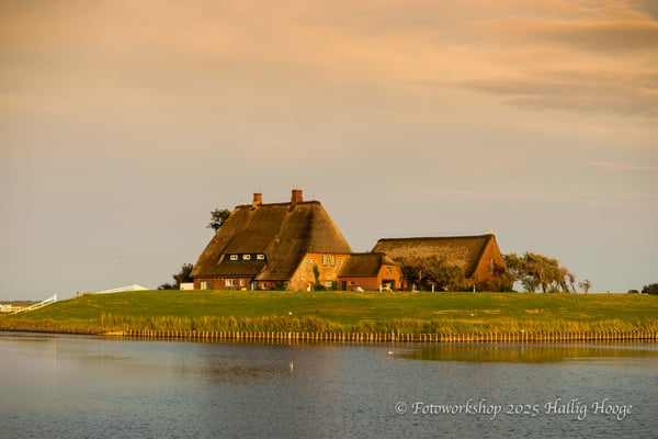 Hallig Hooge