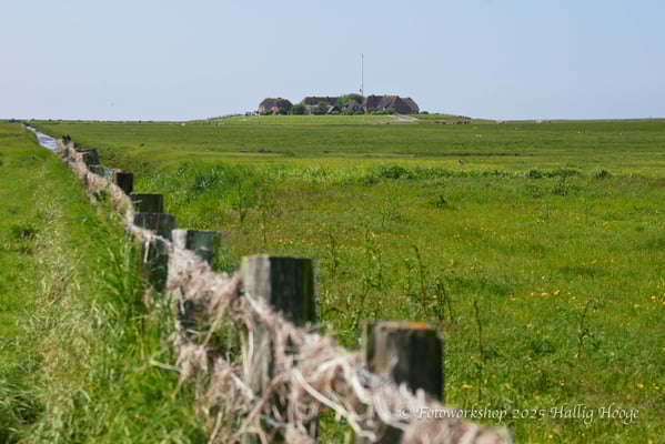 Hallig Hooge