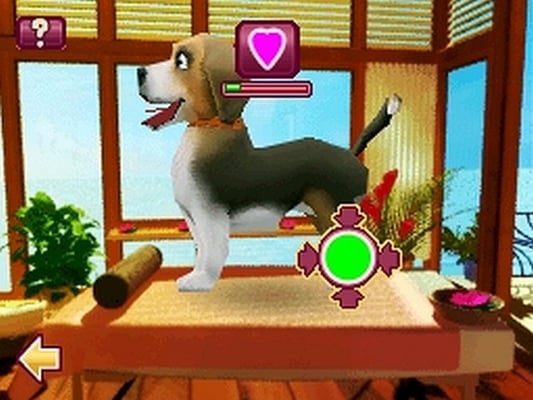 Tierische VIPs – Wellness für 4 Pfoten