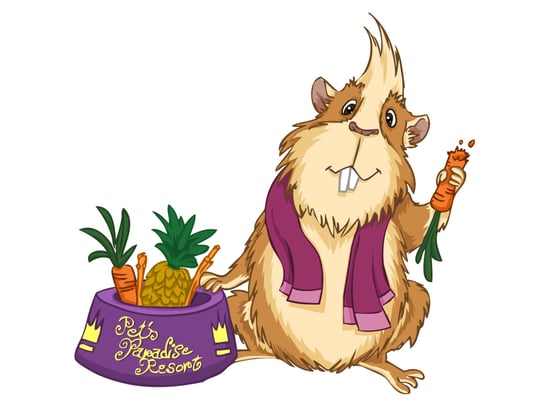 Tierische VIPs – Wellness für 4 Pfoten