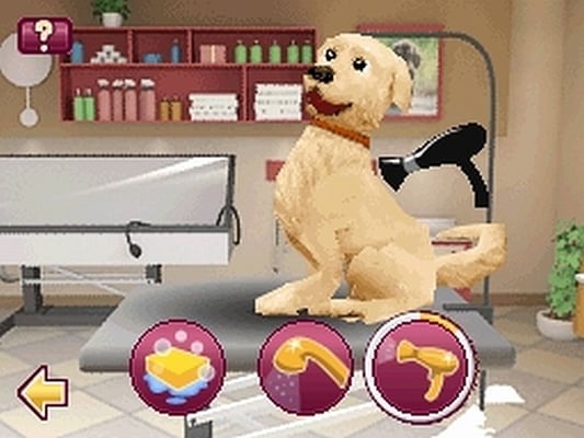 Tierische VIPs – Wellness für 4 Pfoten