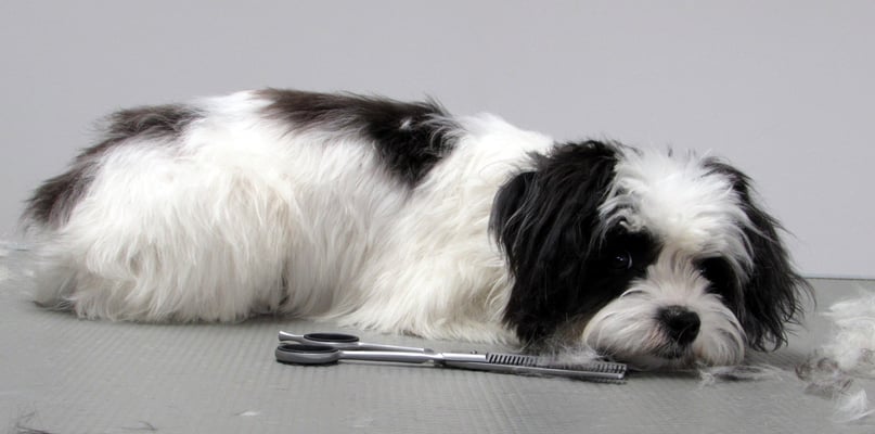 k.o. nach der Pflege