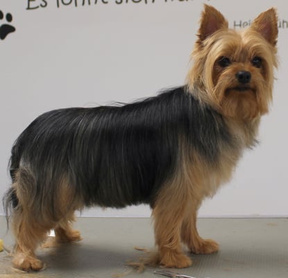 nach Kundenwunsch geschnitten.