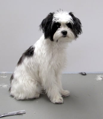 fürs erste Mal hat sie es super gemacht...