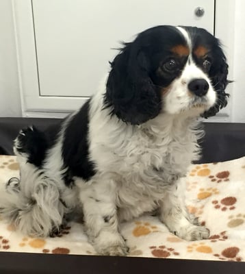 Estelle wird aufgrund ihres Alters...