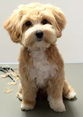 ...er hat das super gemacht!